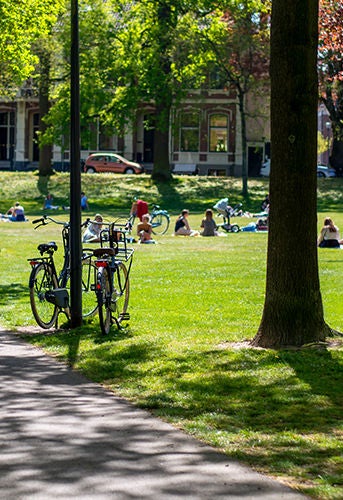 immagine di un parco con biciclette e persone che fanno pic nic